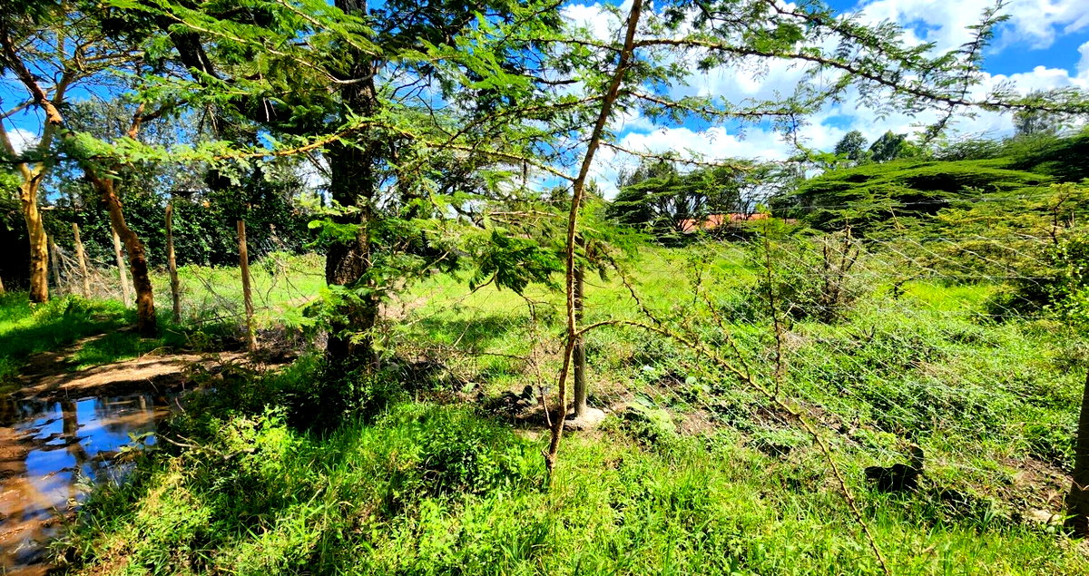 Half Acre Plot for KSh 17M