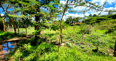 Half Acre Plot for KSh 17M