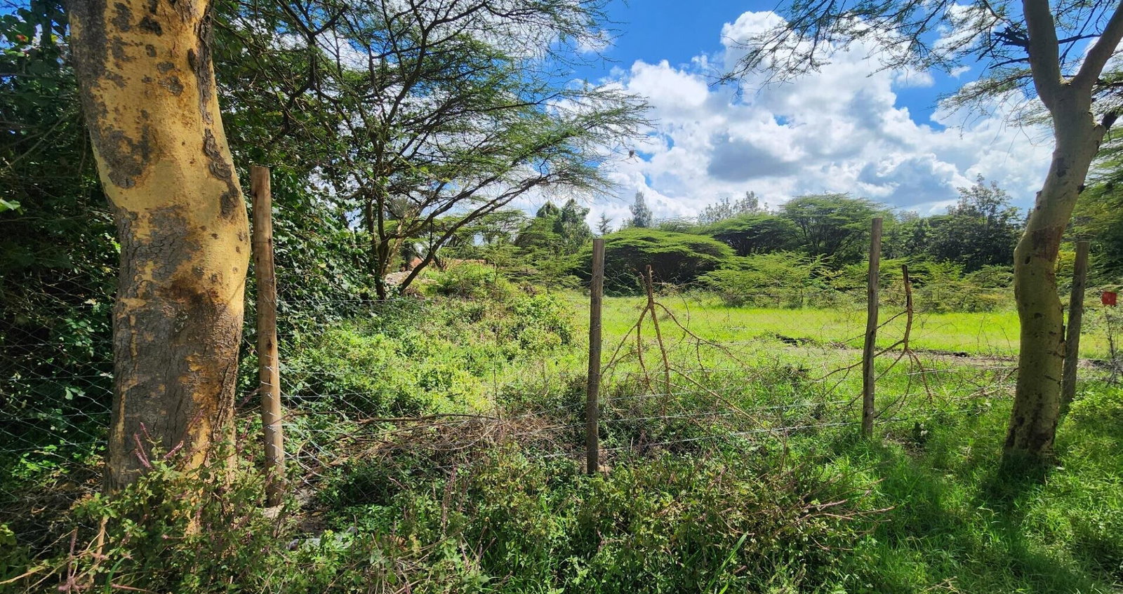 Half Acre Plot for KSh 17M
