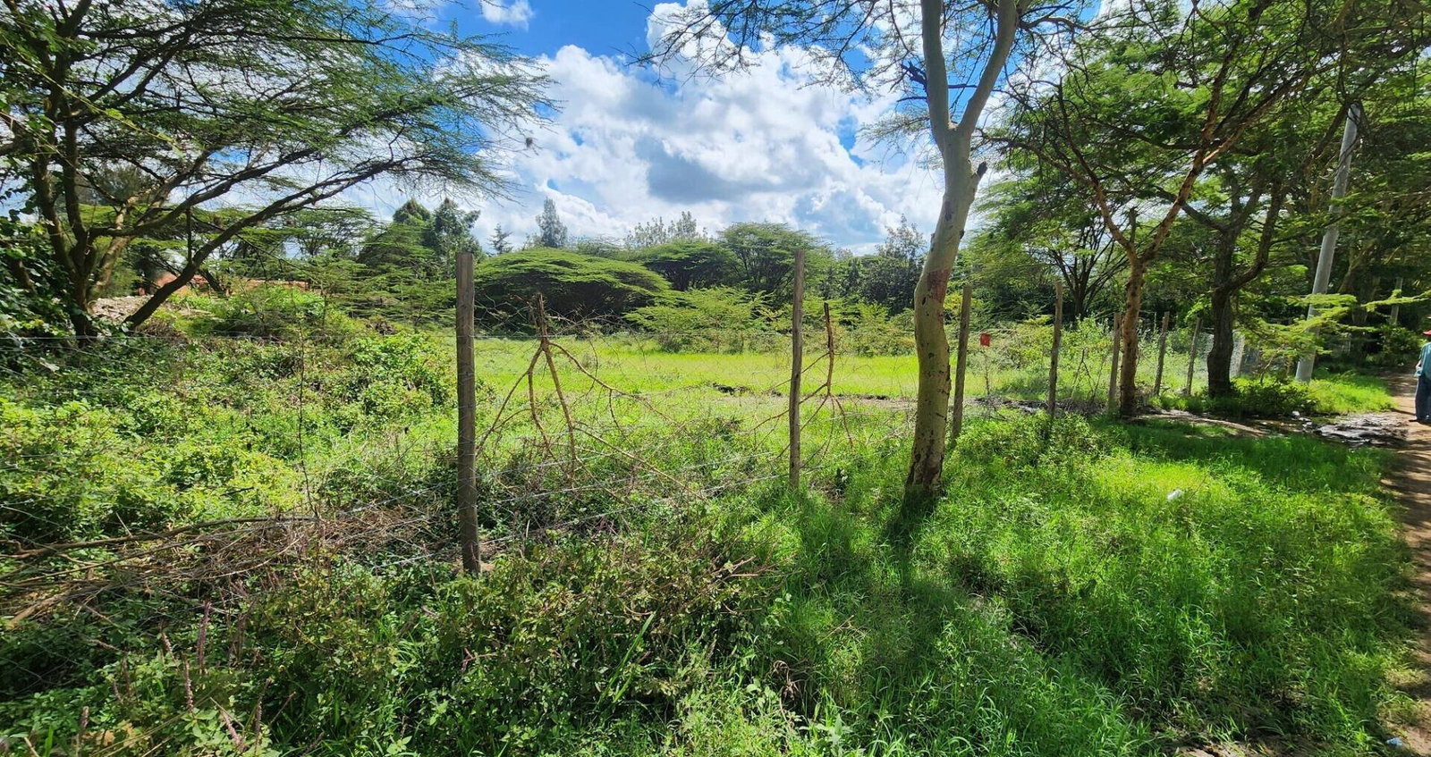 Half Acre Plot for KSh 17M