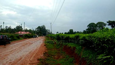 50*100 Plot in Kakamega for Sale - Image 6
