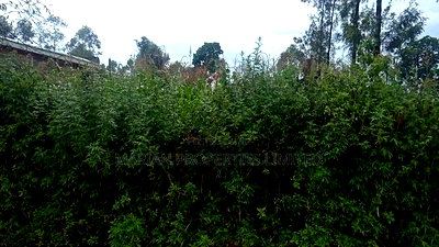 50*100 Plot in Kakamega for Sale - Image 3