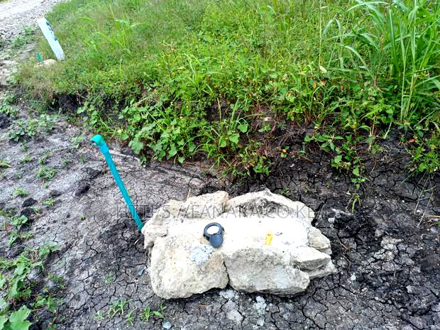 Land to Build a School or Supermarket in Malaa