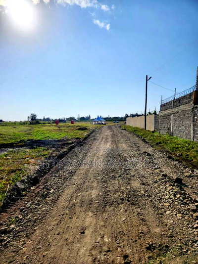 Land to Build a School or Supermarket in Malaa - Image 4