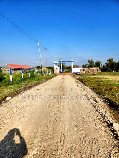 Land to Build a School or Supermarket in Malaa - Image 3