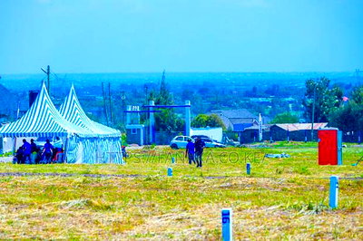 Land to Build a School or Supermarket in Malaa - Image 2