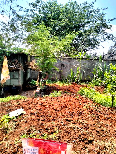 Runda: 1/2 Acre Plot For Sale - Image 3