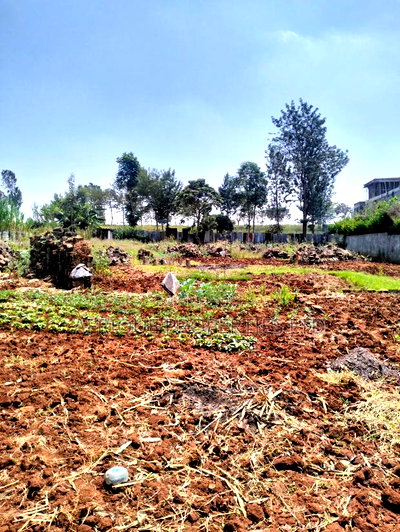 Runda: 1/2 Acre Plot For Sale - Image 2