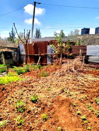 Runda: 1/2 Acre Plot For Sale - Image 5