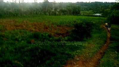 1 Acre in Makunga-Kakamega - Image 1