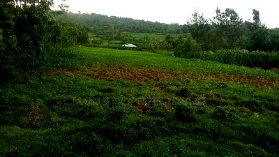 1 Acre in Makunga-Kakamega - Image 3
