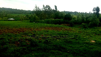 1 Acre in Makunga-Kakamega - Image 4