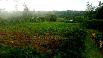 1 Acre in Makunga-Kakamega - Image 2