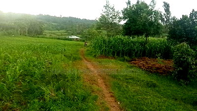1 Acre in Makunga-Kakamega - Image 5