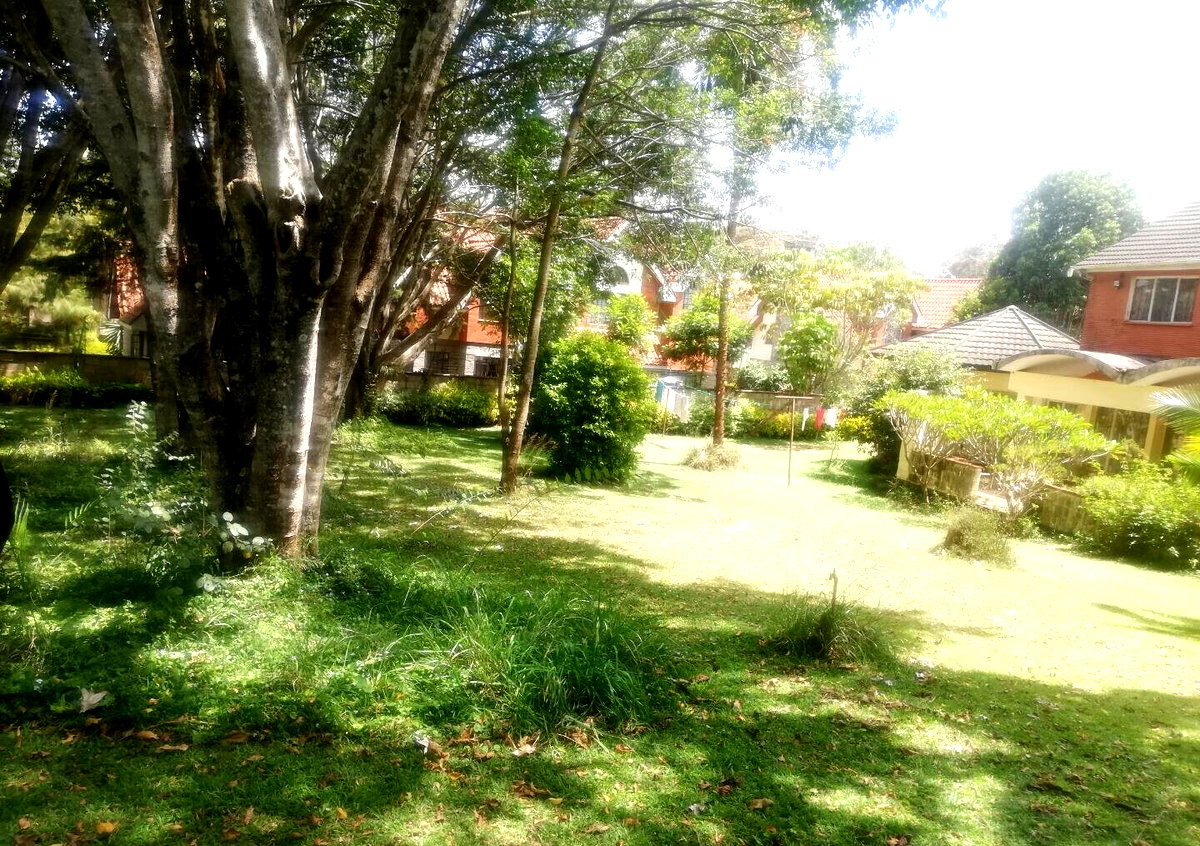 0.84-Acre Development Parcel with Clean Docs - Lavington