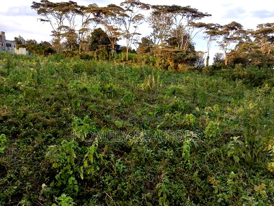 Residential Eighth Acre Plots in Ngong, Bondeni. Red Soil - Image 3