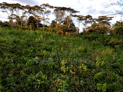 Residential Eighth Acre Plots in Ngong, Bondeni. Red Soil - Image 2
