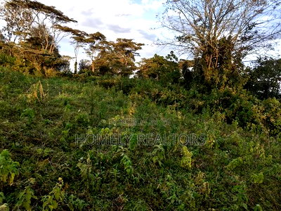 Residential Eighth Acre Plots in Ngong, Bondeni. Red Soil - Image 1