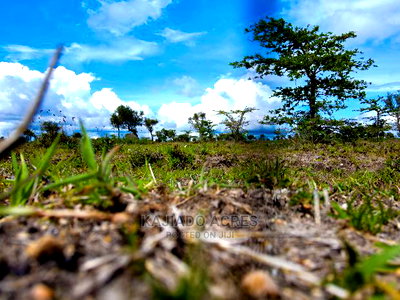 28acres Sajiloni(Mashuru/Imaroro Rd)Touching Inkinye Center - Image 3