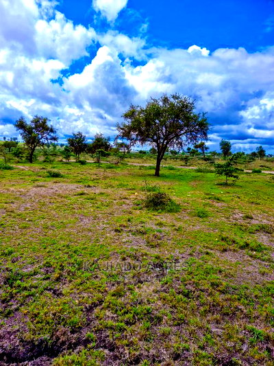 28acres Sajiloni(Mashuru/Imaroro Rd)Touching Inkinye Center - Image 5