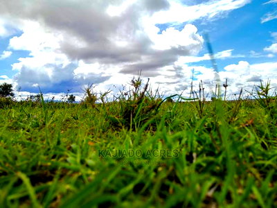 28acres Sajiloni(Mashuru/Imaroro Rd)Touching Inkinye Center - Image 8