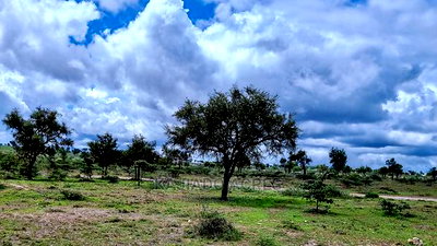 28acres Sajiloni(Mashuru/Imaroro Rd)Touching Inkinye Center - Image 6