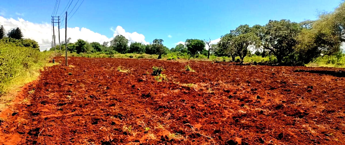 3.5-Acre Farm in Malindi at KSh 7M