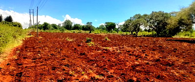 3.5-Acre Farm in Malindi at KSh 7M