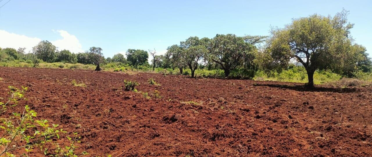 3.5-Acre Farm in Malindi at KSh 7M