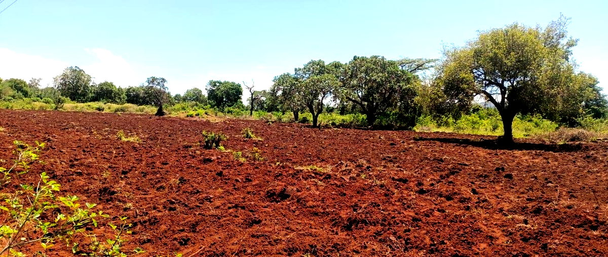 3.5-Acre Farm in Malindi at KSh 7M