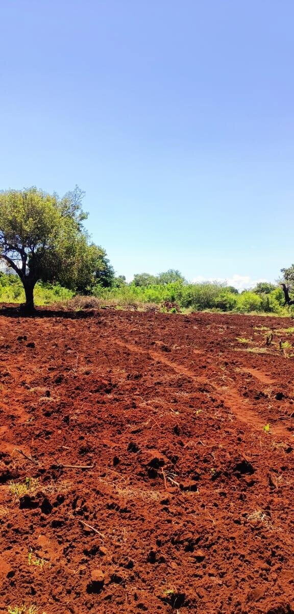 3.5-Acre Farm in Malindi at KSh 7M