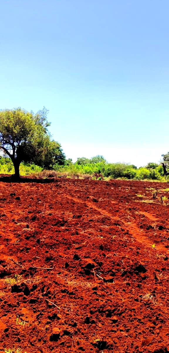 3.5-Acre Farm in Malindi at KSh 7M