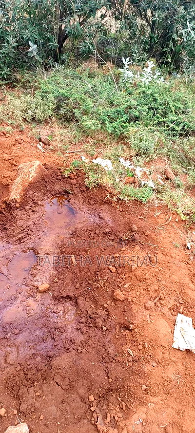 Affordable Plots for Sale in Ngong - Image 5