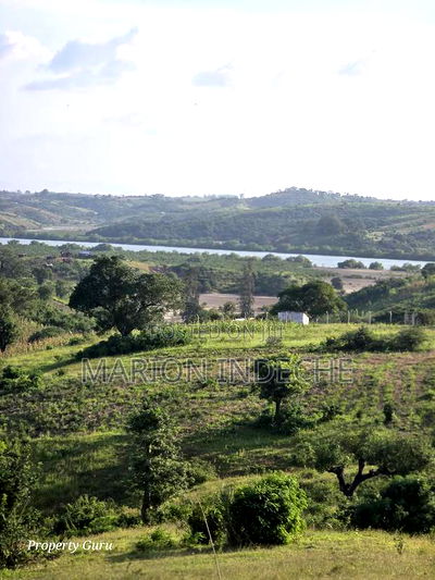 Mtwapa 1 Acre for Sale With Clean Documentation - Image 4