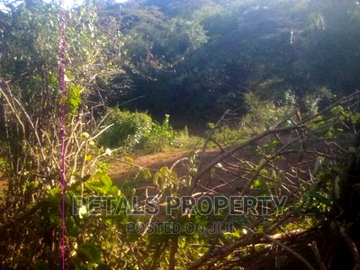 100 Acres for Sale in Emining, Mogotio - Image 6