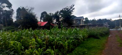 Prime Plot for Sale in Gikambura, Damarest, Kikuyu - Image 2
