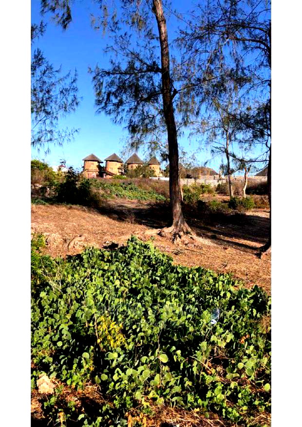 A Half an Acre Piece of Land in Watamu