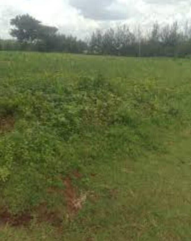 3/4 Acre Plot for KSh 1.2M