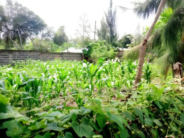 3bdrm House in Ngata Gate, Menengai West for sale