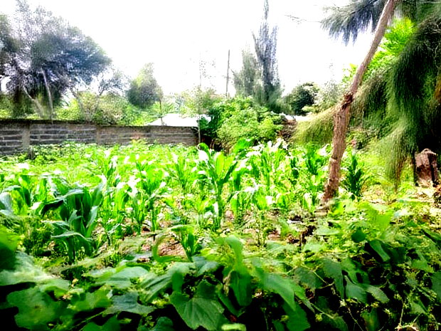 3bdrm House in Ngata Gate, Menengai West for sale