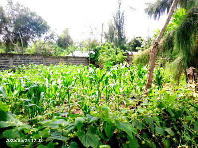 3bdrm House in Ngata Gate, Menengai West for sale - Image 4