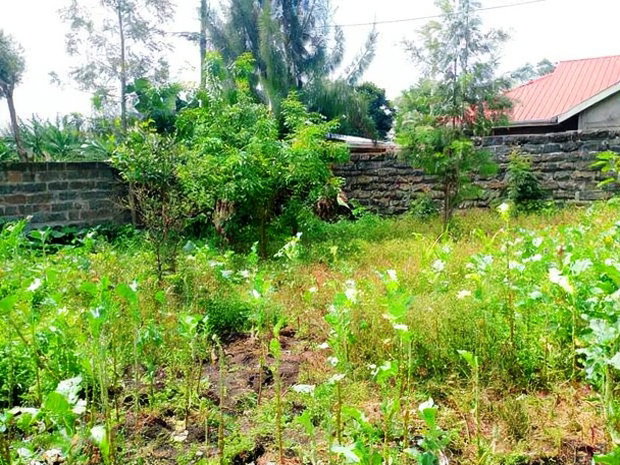 3bdrm House in Ngata Gate, Menengai West for sale