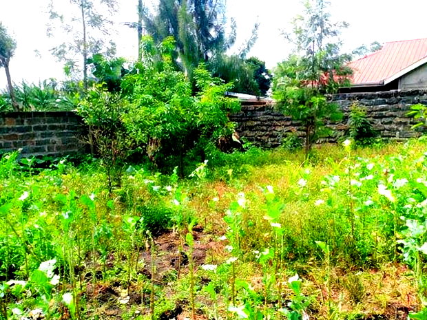 3bdrm House in Ngata Gate, Menengai West for sale