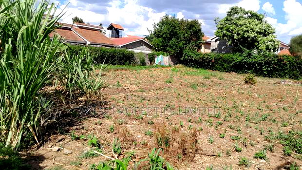 100*100 Residential Plot for Sale