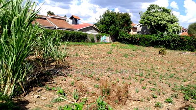 100*100 Residential Plot for Sale - Image 5