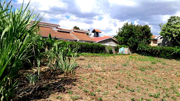 100*100 Residential Plot for Sale