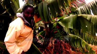 17 Acres of Land for Sale - Image 3