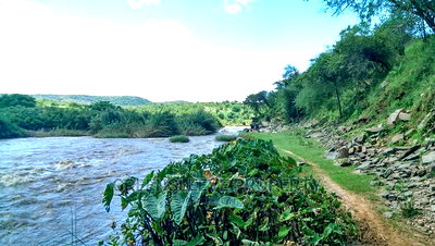 17 Acres of Land for Sale - Image 1