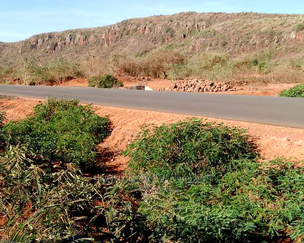 6 Acres Touching Tarmarc Ngong Suswa Road.