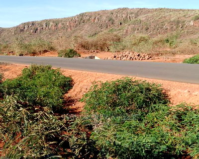 6 Acres Touching Tarmarc Ngong Suswa Road. - Image 4